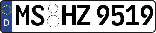 MS-HZ9519