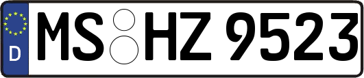 MS-HZ9523