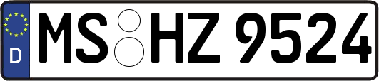 MS-HZ9524