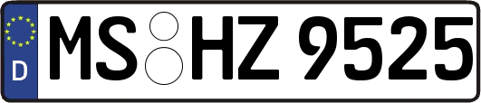 MS-HZ9525