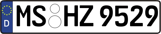 MS-HZ9529