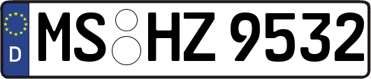 MS-HZ9532