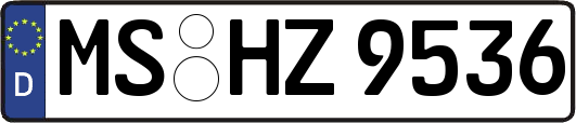 MS-HZ9536