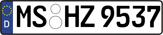 MS-HZ9537