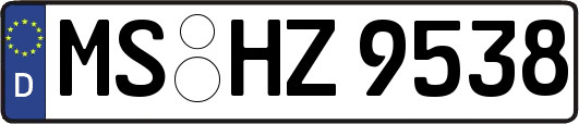 MS-HZ9538