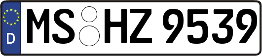MS-HZ9539