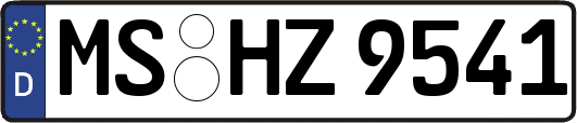 MS-HZ9541