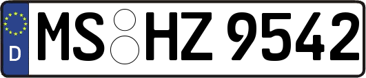 MS-HZ9542