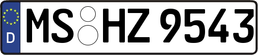 MS-HZ9543