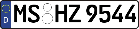 MS-HZ9544