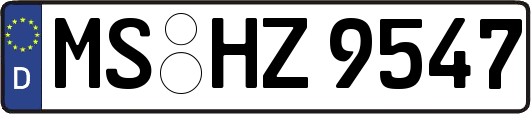MS-HZ9547