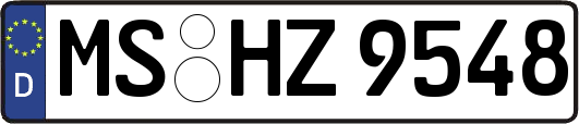 MS-HZ9548