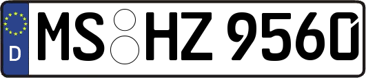 MS-HZ9560