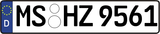 MS-HZ9561