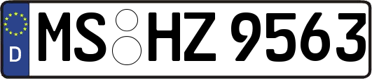 MS-HZ9563