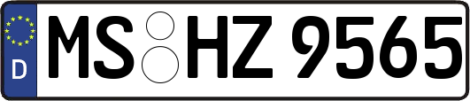 MS-HZ9565