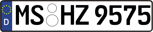 MS-HZ9575