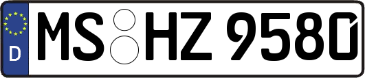 MS-HZ9580