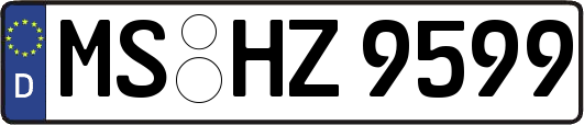 MS-HZ9599