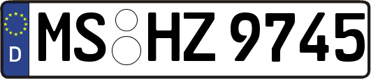 MS-HZ9745