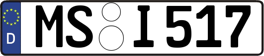 MS-I517