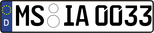 MS-IA0033