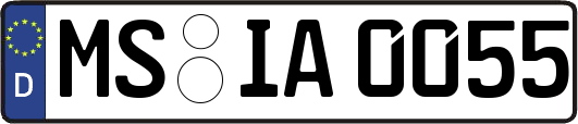 MS-IA0055