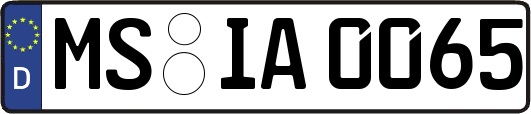 MS-IA0065