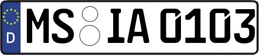 MS-IA0103