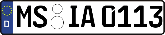 MS-IA0113