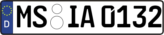 MS-IA0132