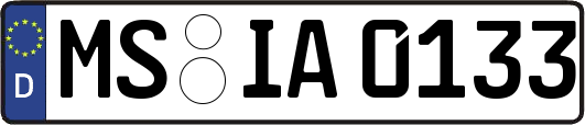 MS-IA0133