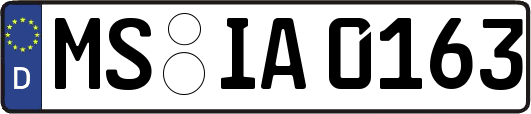 MS-IA0163