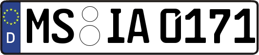 MS-IA0171