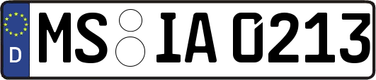 MS-IA0213