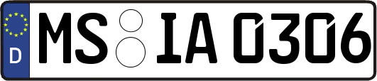 MS-IA0306