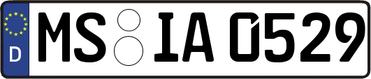MS-IA0529