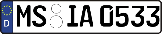 MS-IA0533