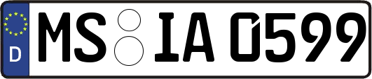 MS-IA0599