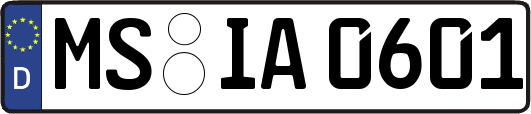 MS-IA0601