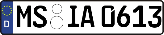 MS-IA0613