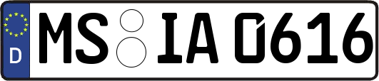 MS-IA0616