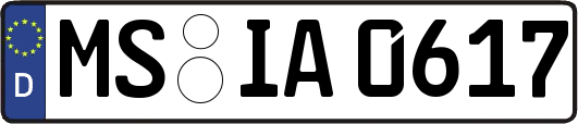 MS-IA0617