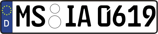 MS-IA0619