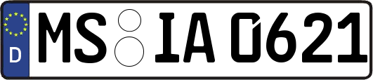 MS-IA0621