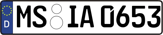 MS-IA0653