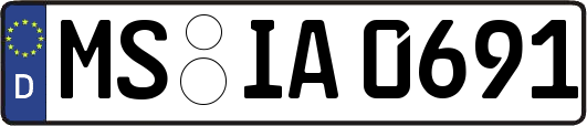 MS-IA0691