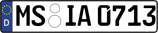 MS-IA0713