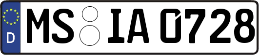 MS-IA0728