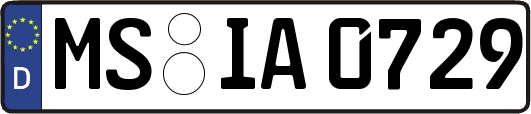 MS-IA0729